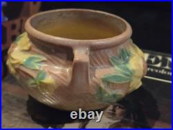 661-3 Rare Roseville Art Pottery Peony Jardinare Vintage Pottery