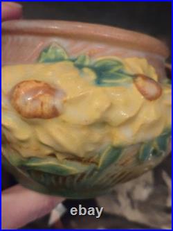 661-3 Rare Roseville Art Pottery Peony Jardinare Vintage Pottery