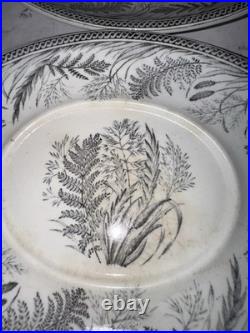 Antique B. & H DANISH FERN Black Ironstone Transferware Blakeman Henderson Trays