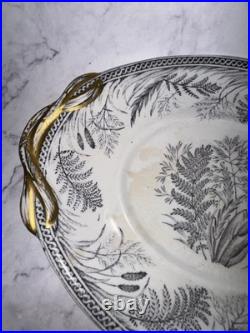 Antique B. & H DANISH FERN Black Ironstone Transferware Blakeman Henderson Trays