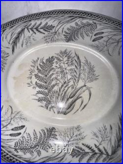 Antique B. & H DANISH FERN Black Ironstone Transferware Blakeman Henderson Trays