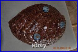 Antique English Reg. 1880's Mark HOLDCROFT Majolica Pottery Conch Shell Bowl 12 Antique English Reg. 1880's Mark HOLDCROFT Majolica Pottery Conch Shell Bowl 12