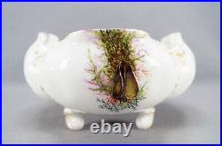 Haviland Limoges Hand Painted Sea Shells Seaweed & Gold Footed Bowl C. 1876-1889