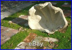 ITALIAN vtg terracotta pottery giant clam shell bowl french garden floor vase