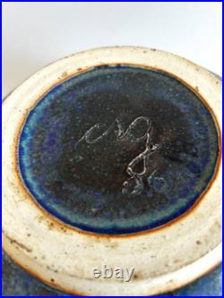 Large 11'' Drip Glaze Handmade Stoneware Art Pottery Matte Blue Bowl Signed, Vtg