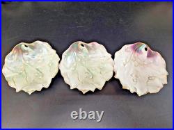 RS Prussia Mold 703 Lily of the Valley Tiffany Finish Bowl Set + Royal Bayreuth