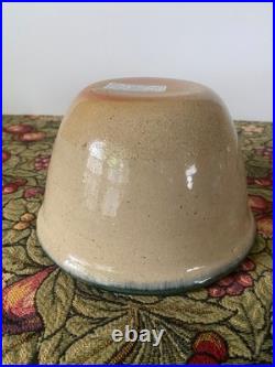 Rare Vintage Monroe Salt Works Pottery HTF Frog Serving or Mixing Bowl