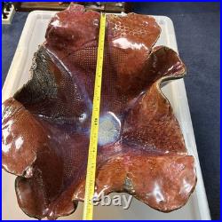 STUNNING Pottery Handcrafted SIGNED Ceramic Large Bowl Heavy Rare (Read)