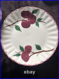 Vintage Blue Ridge Southern Potteries APPLES Set 27 Of Miscellaneous