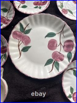 Vintage Blue Ridge Southern Potteries APPLES Set 27 Of Miscellaneous