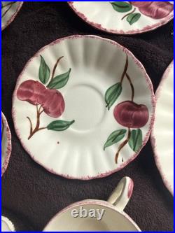 Vintage Blue Ridge Southern Potteries APPLES Set 27 Of Miscellaneous