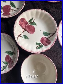Vintage Blue Ridge Southern Potteries APPLES Set 27 Of Miscellaneous