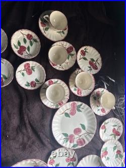 Vintage Blue Ridge Southern Potteries APPLES Set 27 Of Miscellaneous