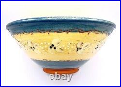 Vintage French Country Hand-Painted & Glazed Terra Cotta Pottery Bowl