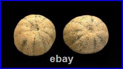 Vintage Handmade Studio Pottery Bowl Set of 4 Signed 1999 Cantaloupe Glaze