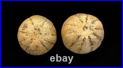 Vintage Handmade Studio Pottery Bowl Set of 4 Signed 1999 Cantaloupe Glaze