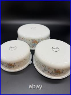 Vintage Marmalade Geese Goose Nesting Bowls Containers Full Set With Lids RARE