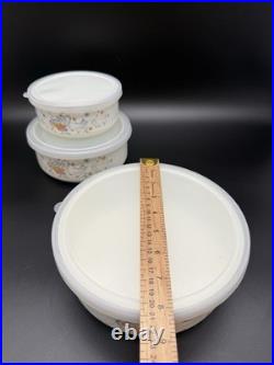 Vintage Marmalade Geese Goose Nesting Bowls Containers Full Set With Lids RARE
