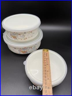 Vintage Marmalade Geese Goose Nesting Bowls Containers Full Set With Lids RARE
