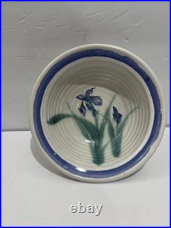 Vintage Ruthann Maze Studio Art Pottery Bowl 7.5 D withHand Painted Iris Design