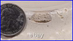 Vtg Primitive Farmhouse Zinc Glazed Crock Dough Mixing Bowl Antique 10.5 wide